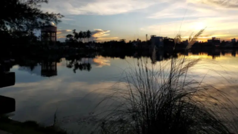 অংকিতা দাসের কবিতায় প্রকৃতি ও মানবিক অনুভূতির মেলবন্ধন