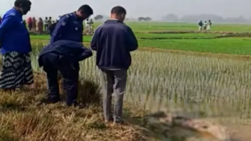 নওগাঁয় ধানক্ষেত থেকে অজ্ঞাত ব্যক্তির মৃতদেহ উদ্ধার, পেকুয়ায় বাস-অটোরিকশা সংঘর্ষে শিশু নিহত