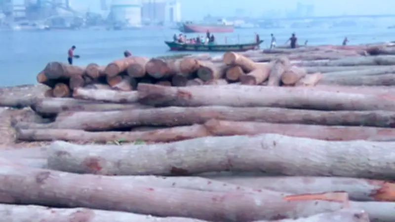 প্রকৃতির নানা রূপ ও নদী দখল: বাংলাদেশের চিত্রিত গল্প