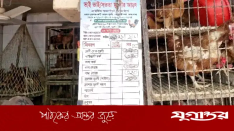 রোজার প্রথম দিনে রাজধানীর বাজারে মুরগির দাম বেড়েছে কেজিতে ২০ থেকে ১০০ টাকা