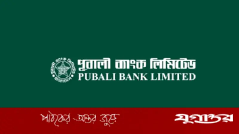 পূবালী ব্যাংকে বড় নিয়োগ: সফটওয়্যার ও আইসিটি বিভাগে ১১৫ পদে চাকরি