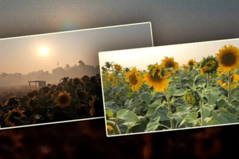 বাংলাদেশে অনলাইন শিক্ষার নতুন সম্ভাবনা: প্রযুক্তির মাধ্যমে শিক্ষার প্রসার