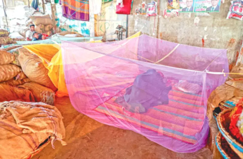 মশার আক্রমণে বিপর্যস্ত রাজধানী, দিনের বেলায় মশারি টানিয়ে ঘুমাচ্ছেন দিনমজুররা