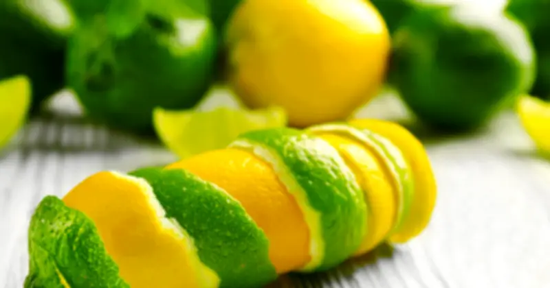 লেবুর খোসা আর ফেলবেন না: রান্নাঘর থেকে সৌন্দর্যচর্চায় ১০টি কার্যকরী ব্যবহার