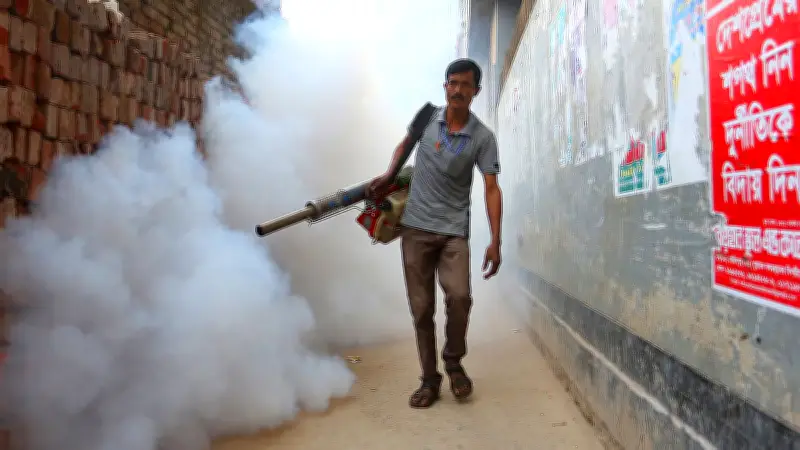 ঢাকা দক্ষিণে মশা নিধনে ব্যর্থতা: কমিটি গঠন, ১৮৮ কোটি টাকা ব্যয় সত্ত্বেও উপদ্রব বাড়ছে