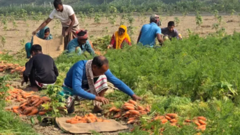 একুশে ফেব্রুয়ারি ও বাংলাদেশের জীবনচিত্র: শহীদ মিনার থেকে গ্রামীণ জীবনের নানা দৃশ্য