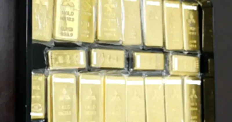 ওসাকার পুরনো পানির লাইন মেরামতে অজ্ঞাত ব্যক্তির ৫৬০ মিলিয়ন ইয়েন মূল্যের স্বর্ণের বার দান