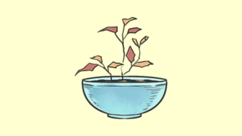 বন্ধুর ফিরে আসায় তনুর হারানো হাসি ফিরে পেল, বাগান ও কুকুরছানার ঘরের স্বপ্ন পূরণের পথে