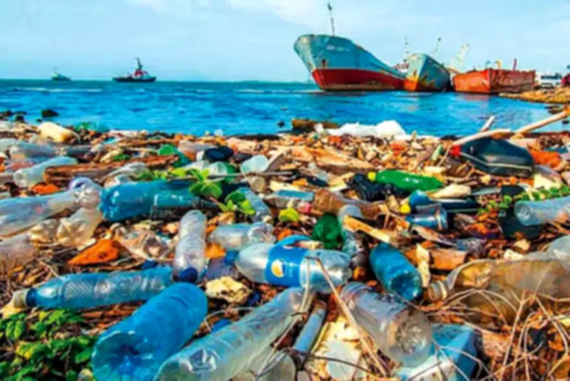 সমুদ্রে প্লাস্টিক দানার আগ্রাসন: পরিবেশ ও সামুদ্রিক জীবনের জন্য মারাত্মক হুমকি