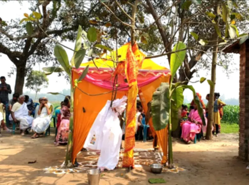 ঠাকুরগাঁওয়ে ব্যতিক্রমী বট ও পাকুড়গাছের বিয়ে, সনাতন রীতিতে সম্পন্ন হলো অনুষ্ঠান