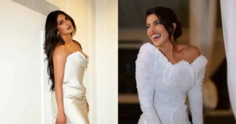 প্রিয়াঙ্কা চোপড়ার দৃষ্টিভঙ্গি: তারকাখ্যাতি নয়, কাজের প্রতি ভালোবাসাই সার্থকতা