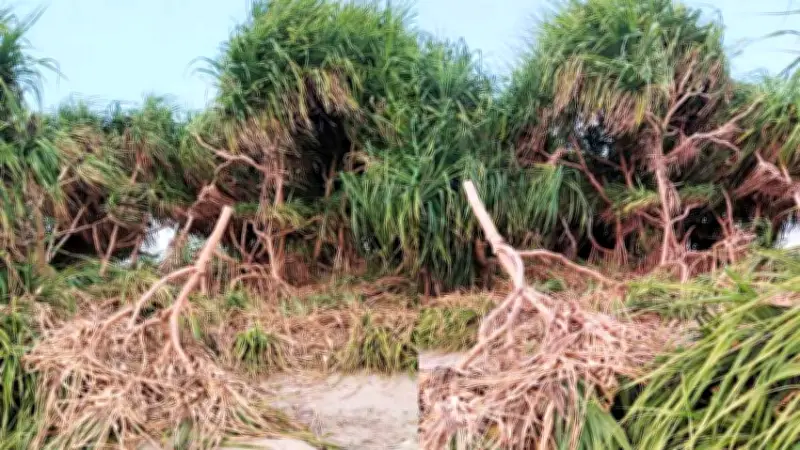 বাংলাদেশে অনলাইন শিক্ষার অগ্রগতি: নতুন সম্ভাবনা ও চ্যালেঞ্জ