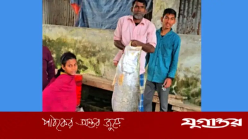 বরগুনার তালতলীতে জেলের জালে ধরা পড়ল সাড়ে ২২ কেজির বিরল কোরাল মাছ