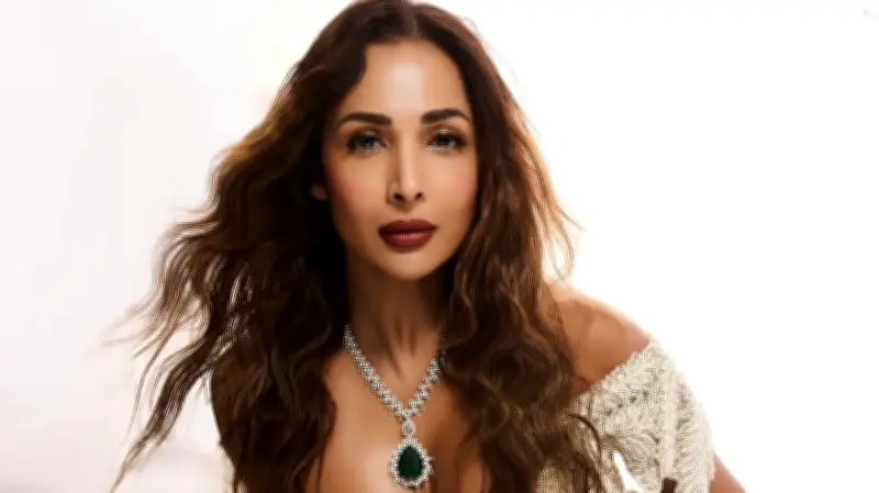 মালাইকা অরোরা ও হর্ষ মেহতা: ইতালির রোমে ভাইরাল ছবি নিয়ে নতুন জল্পনা