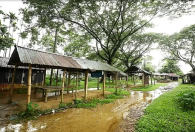 গ্রামের বাড়িগুলো ফাঁকা, শহরমুখী হচ্ছে মানুষ: শিক্ষার অভাব কেন্দ্রীয় কারণ
