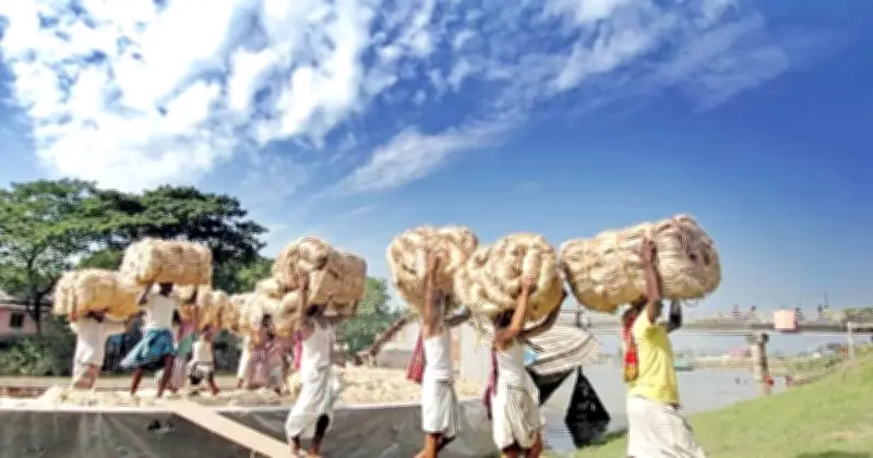 রপ্তানিকারকদের জন্য বাংলাদেশ ব্যাংকের বিশেষ সুবিধা: কাঁচা পাটের ঋণ পুনঃতফসিলের সময়সীমা বাড়ল