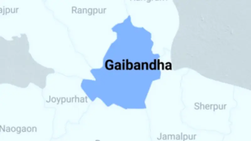 বাংলাদেশে অনলাইন শিক্ষার ভবিষ্যৎ: চ্যালেঞ্জ ও সম্ভাবনা নিয়ে বিশেষজ্ঞ মতামত