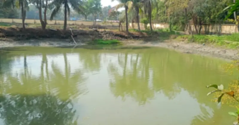 ফেনীর দাগনভূঞা থানার পুকুর থেকে ২১৯ রাউন্ড কার্তুজ উদ্ধার, গণঅভ্যুত্থানের লুটের অংশ