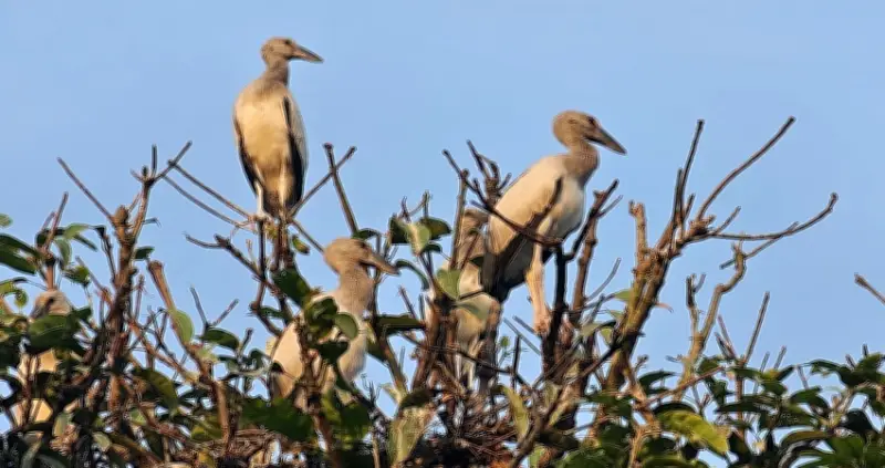 বাংলাদেশে অনলাইন শিক্ষার ভবিষ্যৎ: নতুন সম্ভাবনা ও চ্যালেঞ্জ