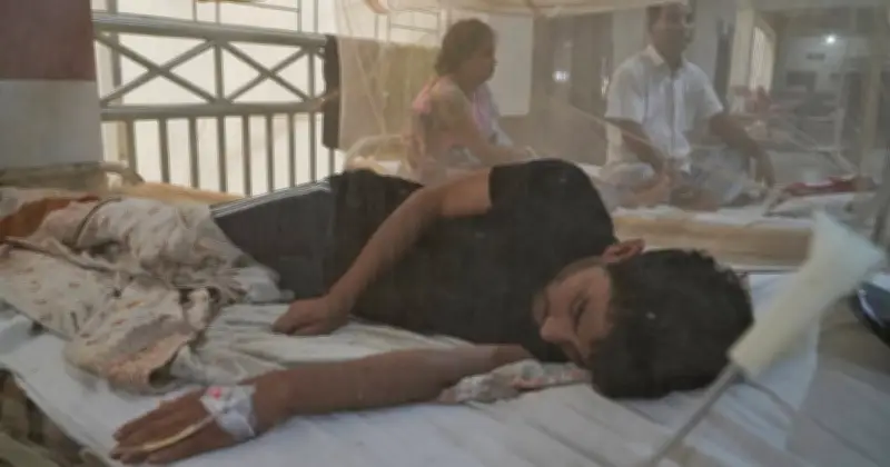 ২৪ ঘণ্টায় দেশে আরও ২২ ডেঙ্গু রোগী হাসপাতালে ভর্তি, মৃত্যু নেই