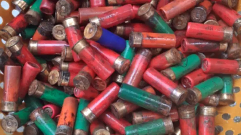 বিভিন্ন থানার পুকুরে লুট হওয়া কার্তুজ উদ্ধার, প্রধানমন্ত্রীর মেডিকেল অফিসার নিয়োগ ও অন্যান্য সংবাদ