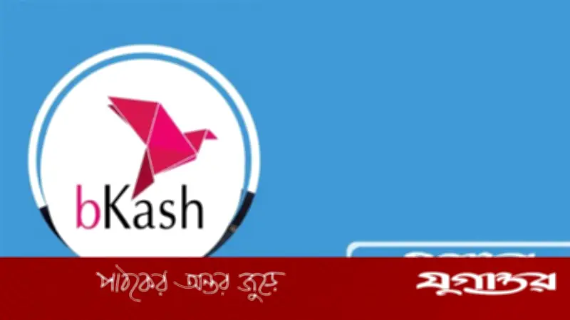 বিকাশ লিমিটেডে নতুন চাকরি: সিনিয়র অফিসার/অ্যাসিস্ট্যান্ট ম্যানেজার পদে নিয়োগ