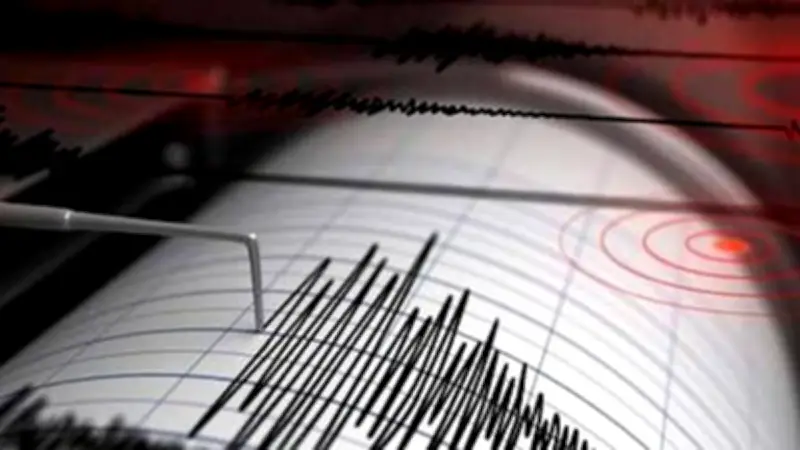 বিশ্বজুড়ে অনলাইন শিক্ষার জনপ্রিয়তা বাড়ছে, নতুন সম্ভাবনার দ্বার খুলছে