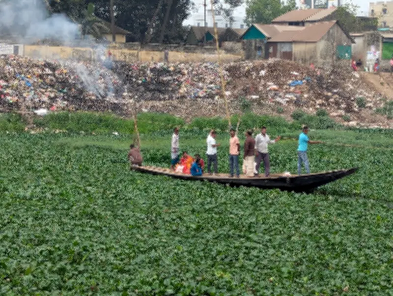 তিতাস নদে কচুরিপানা ও দখল-দূষণের চাপে অস্তিত্ব সংকট, জেলা প্রশাসকের নৌকা পরিদর্শন
