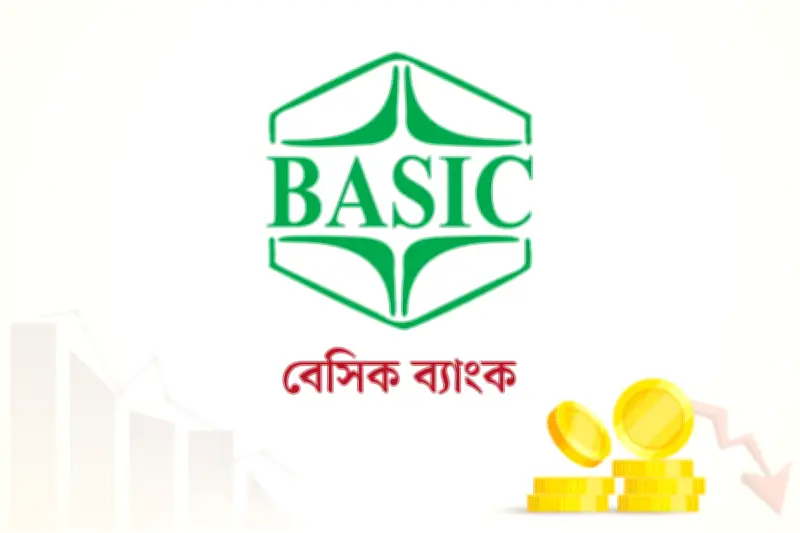 বেসিক ব্যাংকে কারিগরি পদে নিয়োগ: আইসিটি ও আইটি বিশেষজ্ঞদের জন্য সুযোগ
