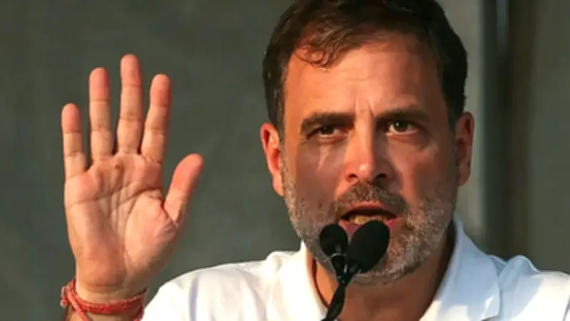 নির্বাচনের আগে রাহুল গান্ধী ও কংগ্রেসের উপর চাপ, ইন্ডিয়া জোট নিয়ে বিতর্ক তীব্র