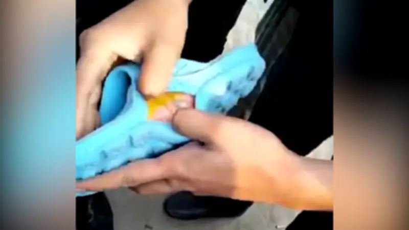 বাংলাদেশে অনলাইন শিক্ষার নতুন সম্ভাবনা: প্রযুক্তির মাধ্যমে শিক্ষার প্রসার