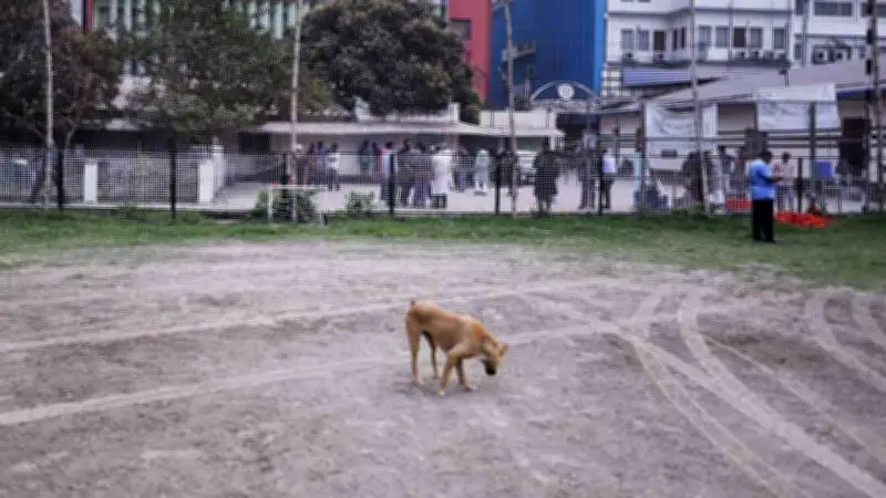 মোহামেডান ফুটবলারদের ধর্মঘট, নির্বাচনী তালিকা জমা ও বিস্ফোরণে মৃত্যু