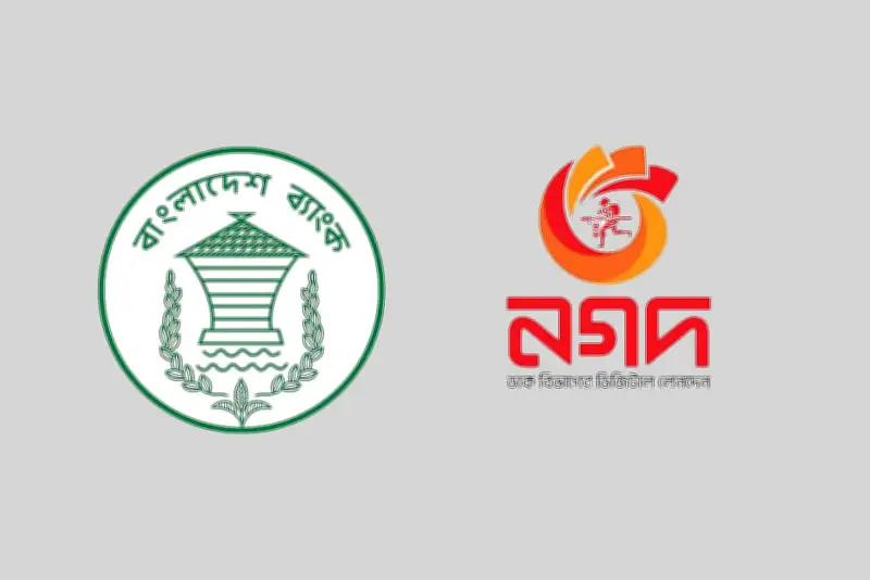 নগদে বিদেশি বিনিয়োগের নীতি চূড়ান্ত হয়নি, ব্যাংক গভর্নরের সঙ্গে বৈঠকে আলোচনা