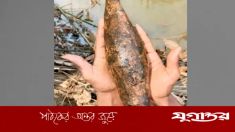 শ্রীমঙ্গলে মুক্তিযুদ্ধের অবিস্ফোরিত মর্টারশেল উদ্ধার, পুলিশ নিষ্ক্রিয় করেছে
