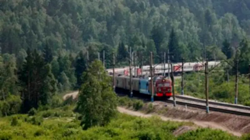 ট্রেনে করে কিং কোবরা: ভারতের রেলপথ বন্য সাপের বিস্তারে নতুন কারণ
