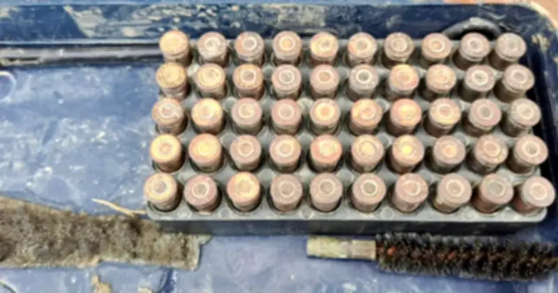 নাটোরে নদীতে মাছ ধরতে গিয়ে শিশুদের হাতে পিস্তলের গুলি, পুলিশ উদ্ধার করেছে