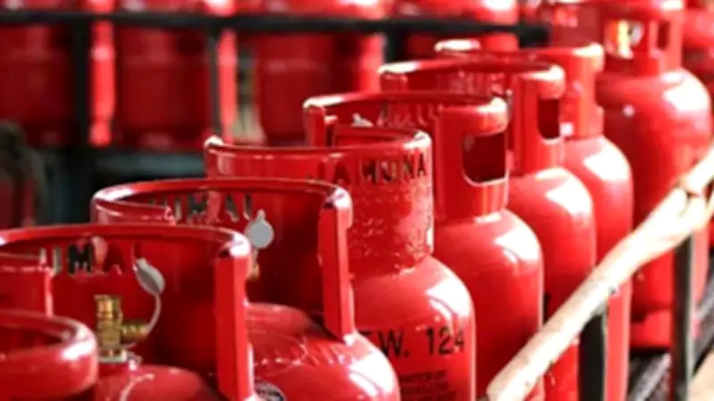 এলপি গ্যাসের দাম কমানো, জামায়াত আমিরের ছাপাখানা অভিযান ও মাদকবিরোধী কারাদণ্ড