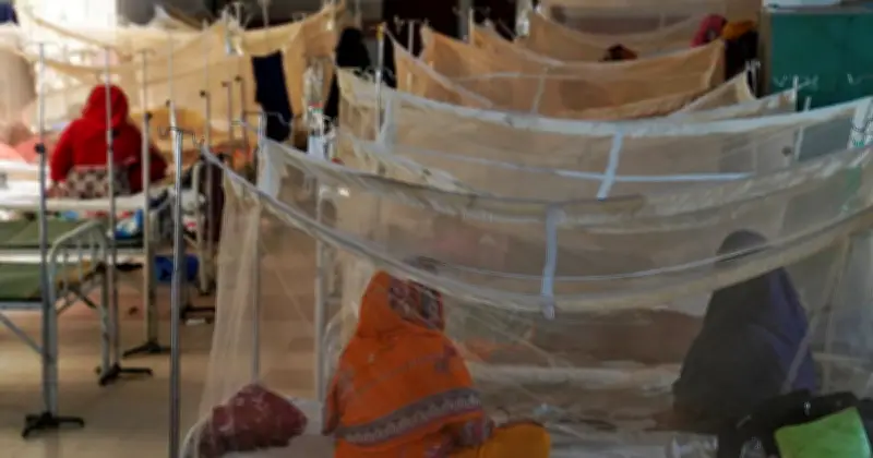 ২৪ ঘণ্টায় ডেঙ্গু আক্রান্ত ১২ জন, চলতি বছর মৃত্যু ৪