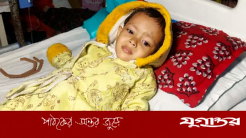 নওগাঁয় হৃদরোগে আক্রান্ত শিশু ফাতিমার জীবন বাঁচাতে ভ্যানচালক বাবার আকুতি