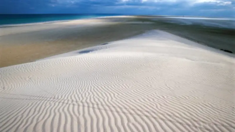 সৈকতের বালুর রহস্য: পরিবেশ ও খনিজের মিশেলে তৈরি হয় অনন্য বালুকণা