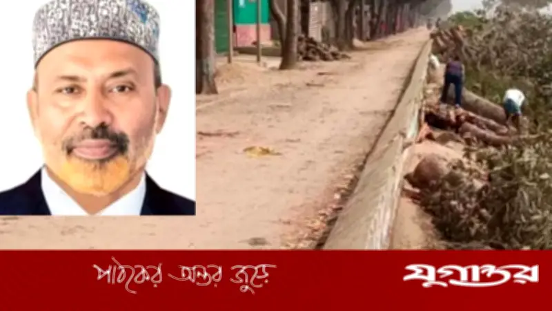 গাড়ি চলাচলের সুবিধায় বেড়িবাঁধের গাছ কাটায় বিএনপি নেতার পদ স্থগিত