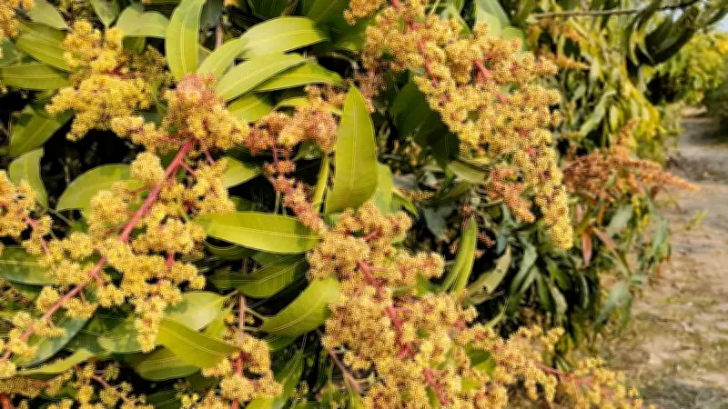 বাংলাদেশে অনলাইন শিক্ষার নতুন সম্ভাবনা: প্রযুক্তির মাধ্যমে শিক্ষার প্রসার