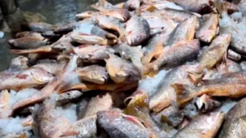 বাংলাদেশি সন্দেহে বেঙ্গালুরুতে ১৮ জন আটক, নতুন আইজিপি আলী হোসেন ফকিরের দায়িত্ব গ্রহণ