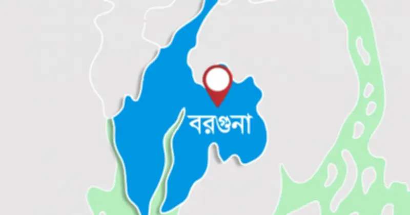 বরগুনায় একই দিনে প্রসূতি মা ও শ্বশুরের মৃত্যু, এলাকায় শোক