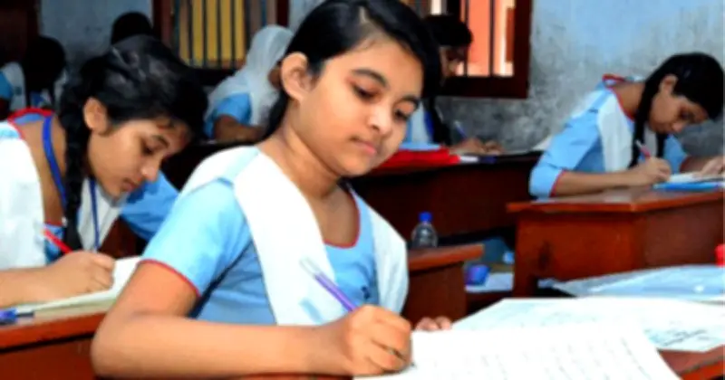 জুনিয়র বৃত্তি পরীক্ষার ফল প্রকাশ: ৪৬ হাজার ২০০ শিক্ষার্থী বৃত্তি অর্জন করেছে