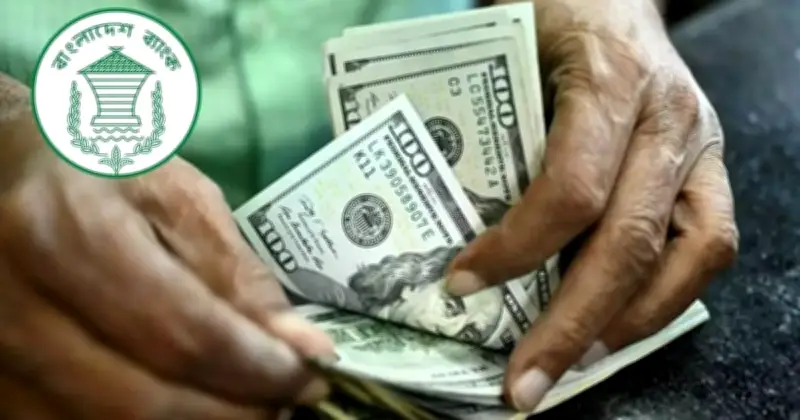 বৈদেশিক মুদ্রার রিজার্ভে বড় অর্জন: ৩৫.৩১ বিলিয়ন ডলারে উন্নীত