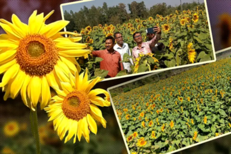 বাংলাদেশে অনলাইন শিক্ষার প্রসারে নতুন উদ্যোগ: শিক্ষার্থীদের জন্য ডিজিটাল সুযোগ বৃদ্ধি