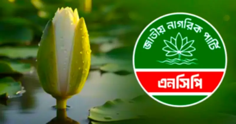 দলীয় শৃঙ্খলা ভঙ্গের অভিযোগে এনসিপি নেতা আহমেদুর রহমান তনুকে সাময়িক অব্যাহতি