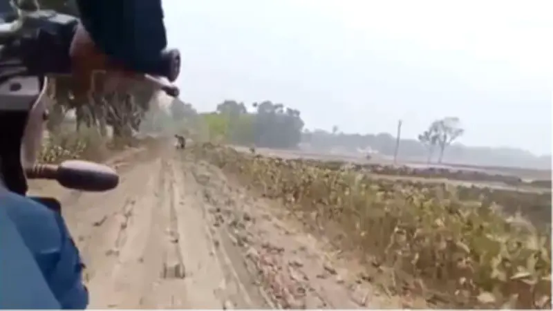 ঝিকরগাছায় অবৈধ বালু উত্তোলন, গ্রেফতার আদেশ ও সাবেক মেয়র আইভীর জামিনসহ গুরুত্বপূর্ণ সংবাদ