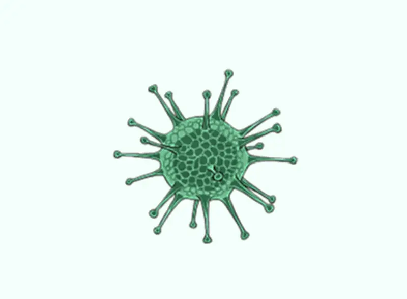 ব্যাকটেরিয়া জীববিজ্ঞান: নেস্টেড হায়ারার্কি থেকে হিস্টোলজি পর্যন্ত গুরুত্বপূর্ণ প্রশ্নোত্তর